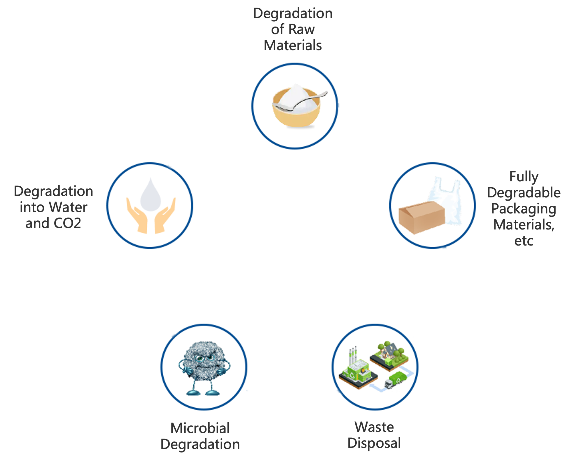 What is a fully biodegradable material？
